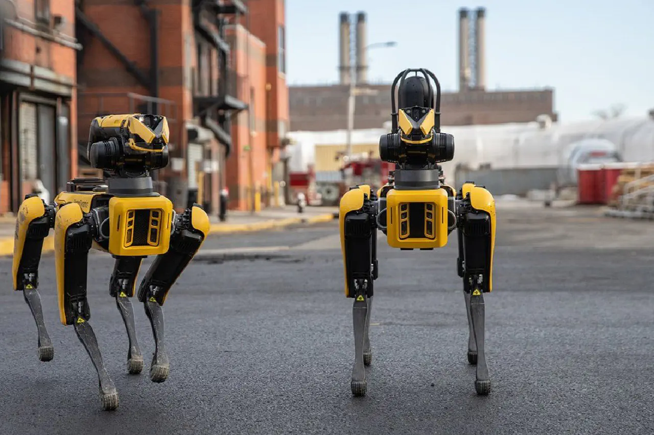 Robotique : Face à la diminution de ses effectifs, l’armée sud-coréenne envisage de déployer des robots Hyundai