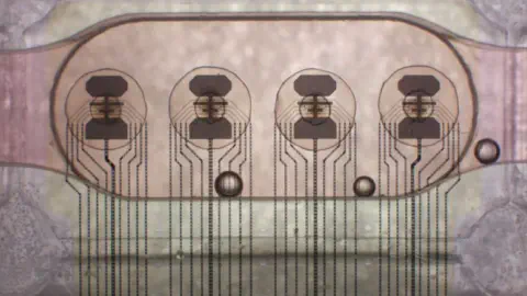 Worlds first bioprocessor uses 16 human brain organoids for a million times less power consumption than a digital chip