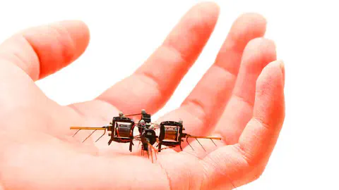 Plus endurant quun vrai insecte ce minuscule robot du mit vole 100 fois plus longtemps grace a des ailes revolutionnaires