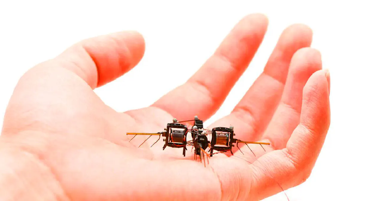Plus endurant quun vrai insecte ce minuscule robot du mit vole 100 fois plus longtemps grace a des ailes revolutionnaires
